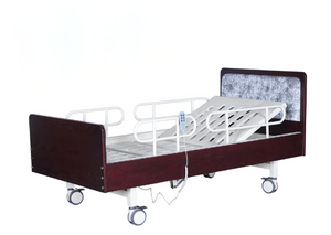 LSC-D202 Electric Two-Function Home Bed