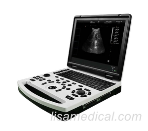 ALS-690 Black And White Ultrasonic