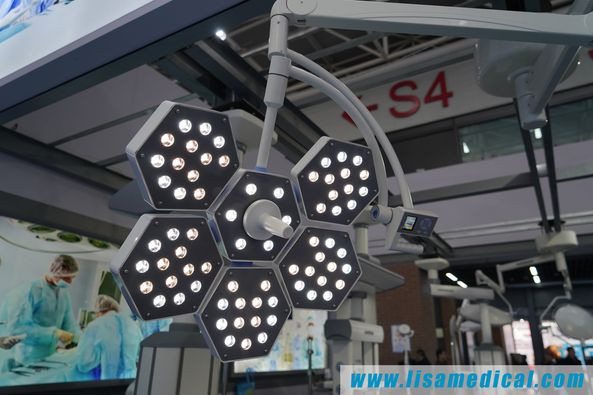 257599858_186588780331537_2097968203468609070_n