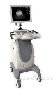 ALS-370PC Black And White Ultrasonic