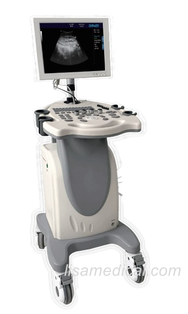 ALS-370PC Black And White Ultrasonic