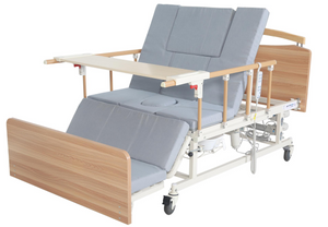 LSDA-E16 Electric Nursing Bed 