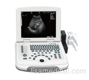 ALS-500 Black And White Ultrasonic