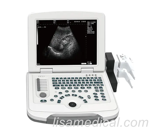 ALS-500 Black And White Ultrasonic