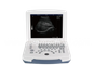 ALS-580 Black And White Ultrasonic