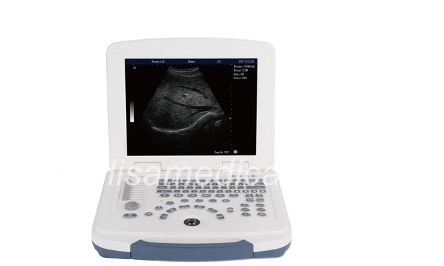 ALS-580 Black And White Ultrasonic