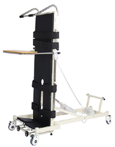 LSB-H03 Electric Standing Bed