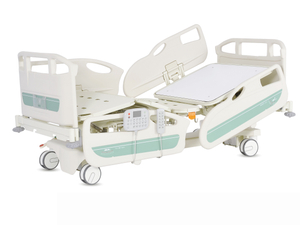LISA Electric Hospital Bed D2-2