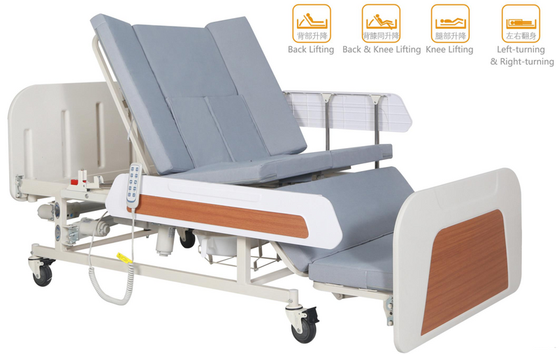 LSDA-E39 Multifunctional Electric Home Nursing Bed 