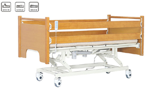 LSC-D303 Electric Three-Function Home Bed