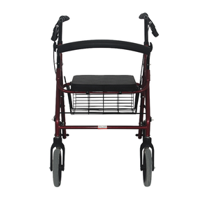 LSFY-FY965 Walker