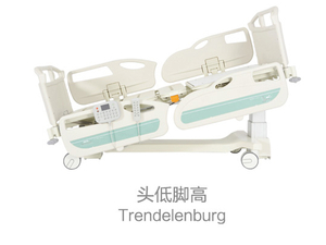 LISA Electric Hospital Bed D2-1