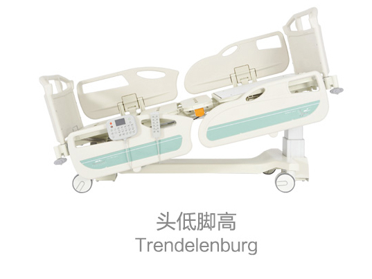 LISA Electric Hospital Bed D2-1