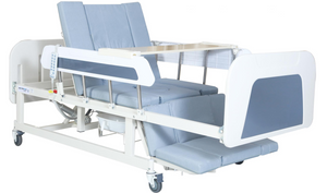 LSDA-E39F Multifunctional Electric Home Nursing Bed 