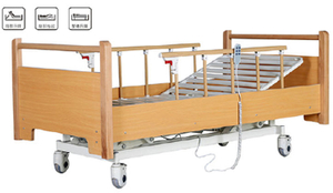 LSC-D305 Electric Three-Function Home Bed