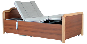LSDA-E101 Multifunctional Electric Home Nursing Bed 