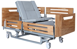 LS-E102 Multifunctional Electric Home Nursing Bed