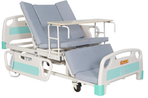 LSDA-E62-YY Multifunctional Electric Home Nursing Bed 