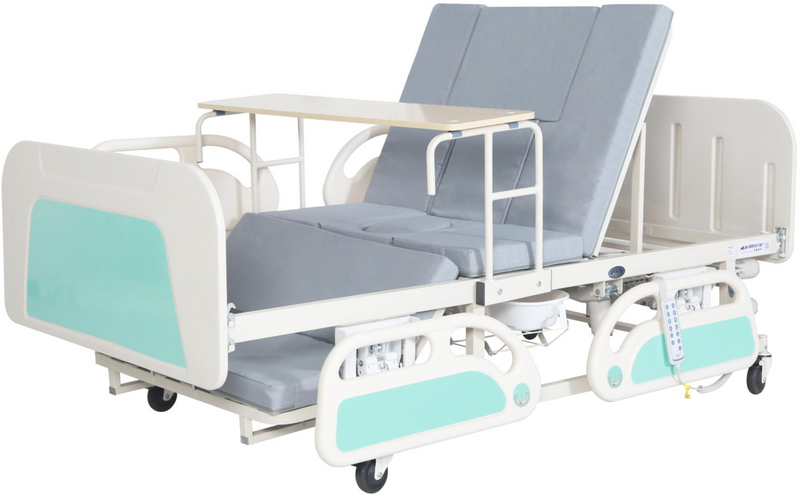 LSDA-E58 Multifunctional Electric Home Nursing Bed 