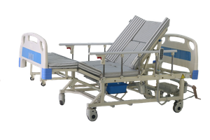 LSYA-BD02 Light Dual Use Full Electric Nursing Bed