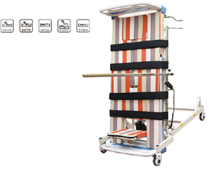 LSB-H02Electric Standing Multifunctional Nursing Bed